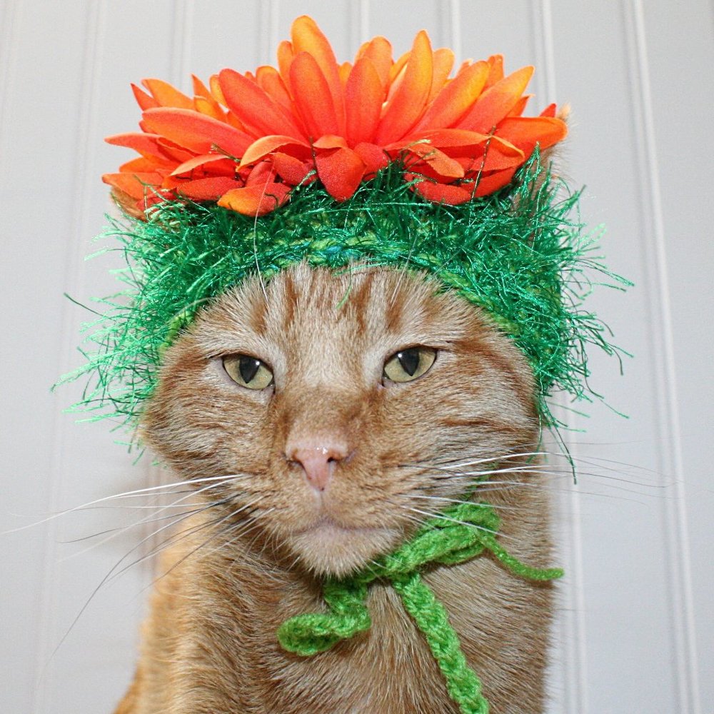HAND CRAFTED Flower Child Cat Hat Crochet Hairy Wig Costume Photo Prop
